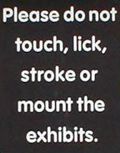 Museum of Sex
